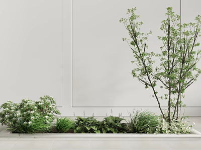 Bonsai Potted Plants With Tall Tree Like Shrubs Herbs Along Light Colored Wall And Floor 3d model