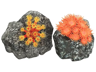 Vibrant Aquatic Animals Yellow And Orange Coral Polyps On Rock Like Structures 3d model
