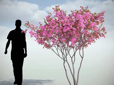 Flowering Arbor With Pink Blossoms And Black Silhouette Figure Under Blue Sky White Clouds 3d model