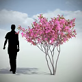 Flowering Arbor With Pink Blossoms And Black Silhouette Figure Under Blue Sky White Clouds