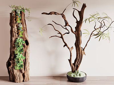 Bonsai Planters Featuring Wooden Structure Succulents Moss and Driftwood with Green Leaves 3d model