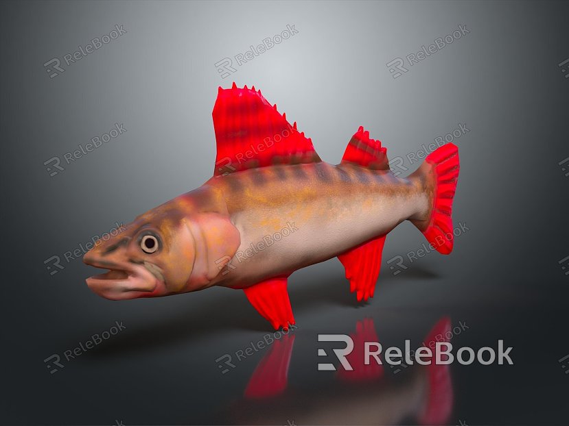 Catfish Carp Sturgeon Bass Freshwater Fish Various Carp Grass Carp Crucian Carp model