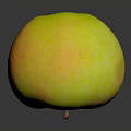 Fresh Ripe Apple With Yellow Orange Red Gradient Color And Green Top On Dark Background