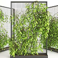 Green Vines Growing On Three Panel Decorative Grid Screens For Indoor Decoration Design