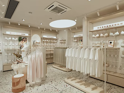 Bright Shopping Mall Clothing Store With White T Shirts Lingerie Display Racks And Mannequin 3d model
