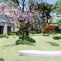 Tranquil Garden Landscape With Cherry Blossom Tree Gravel Ground And Wooden Screens