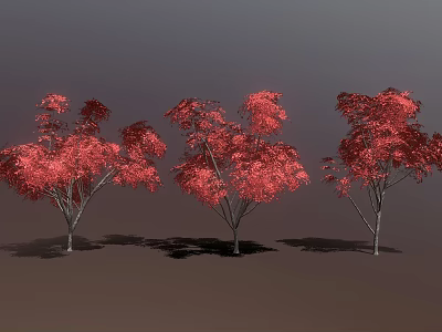 Three Red Leaf Trees Standing On Brown Ground With Gray Background 3d model