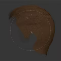 Human Scalp Brown Hair Model With Natural Texture And Realistic Appearance