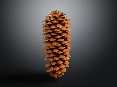 Natural Brown Pine Cone With Green Tip On Top Against Dark Background 3d model