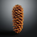 Natural Brown Pine Cone With Green Tip On Top Against Dark Background