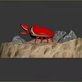 Red Crab with White Spots on Sandy Surface Surrounded by Small Rocks 3d model