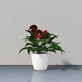 Beautiful Bonsai Potted Plant With Red Flowers Green Leaves In White Pot On Gray Background