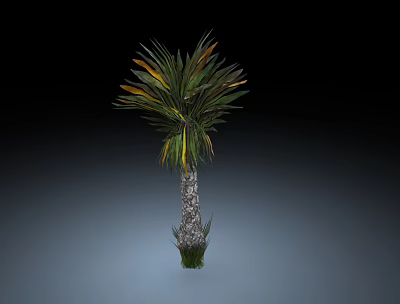 Modern palm tree Palmae 3d model Modern palm tree Palmae 3d model
