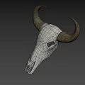 Game Movie Character Bull Skull With Large Horns White Bone And Gray Gradient Background