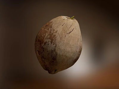 Fresh Ripe Coconut With Natural Brown Beige Texture And Green Sprout 3d model