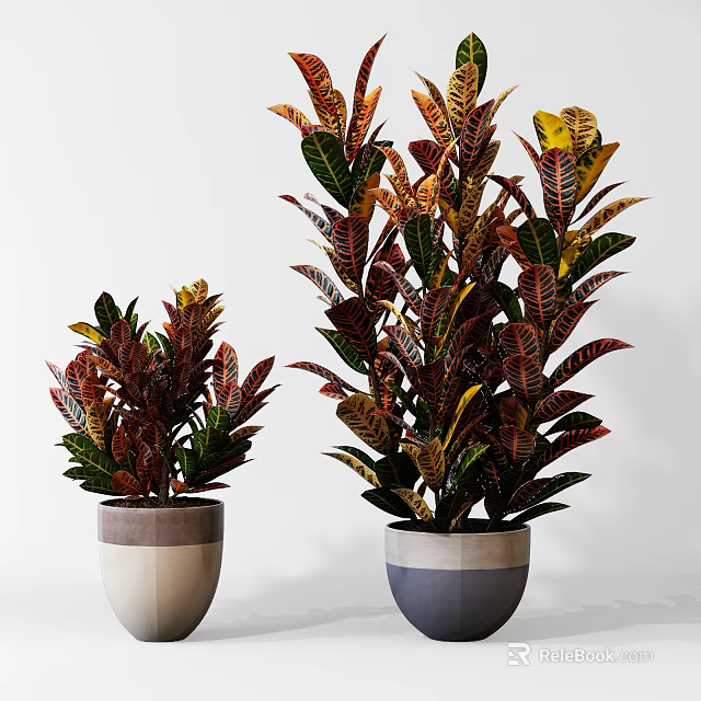 Bonsai Potted Plants With Colorful Leaves In Different Heights And Decorative Pots 3d model 