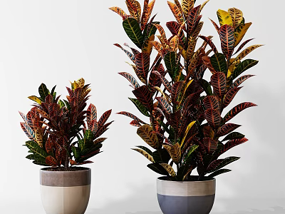 Bonsai Potted Plants With Colorful Leaves In Different Heights And Decorative Pots 3d model