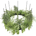 Circular Black Hanging Planter with Lush Trailing Greenery for Indoor Decoration