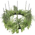 Modern hanging basket hanging orchid hanging green plants 3d model