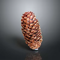 Fresh Pine Nuts In Natural Pine Cone On Black Reflective Surface 3d model