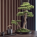 New Chinese Pine Bonsai Bonsai Tea Set Ornaments Combination 3d model