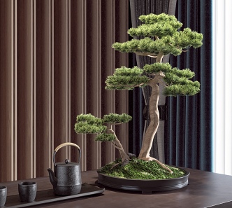 New Chinese Pine Bonsai Tea Set Ornaments Combination 3d model