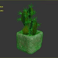 Green Spiky Cactus Plant In Square Stone Pot On Dark Surface
