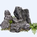 Natural Rockery Stones With Stacked Structure And Surrounding Green Ferns