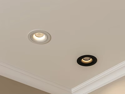 Stylish Ceiling Recessed Downlights With White And Black Trim Design 3d model