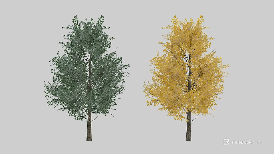 Two Trees Showing Green And Yellow Foliage In Seasonal Contrast 3d model 