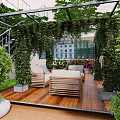 Garden Landscape With Wooden Deck Vine Covered Pergola Hanging Swing Chair And Colorful Flowers