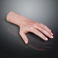 Detailed Human Hand with Fine Hair and Natural Skin Texture Closeup View