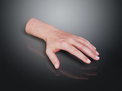 Detailed Human Hand with Fine Hair and Natural Skin Texture Closeup View 3d model