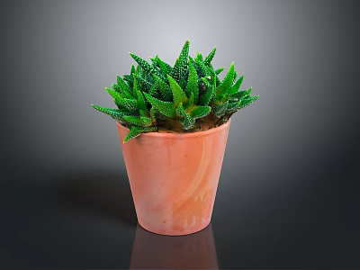 Succulent Plant With Green Spiky Leaves In Orange Terracotta Pot On Dark Background 3d model