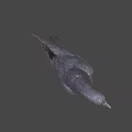 Black Crow Perched On Wooden Branch With Gray Background And Detailed Feathers