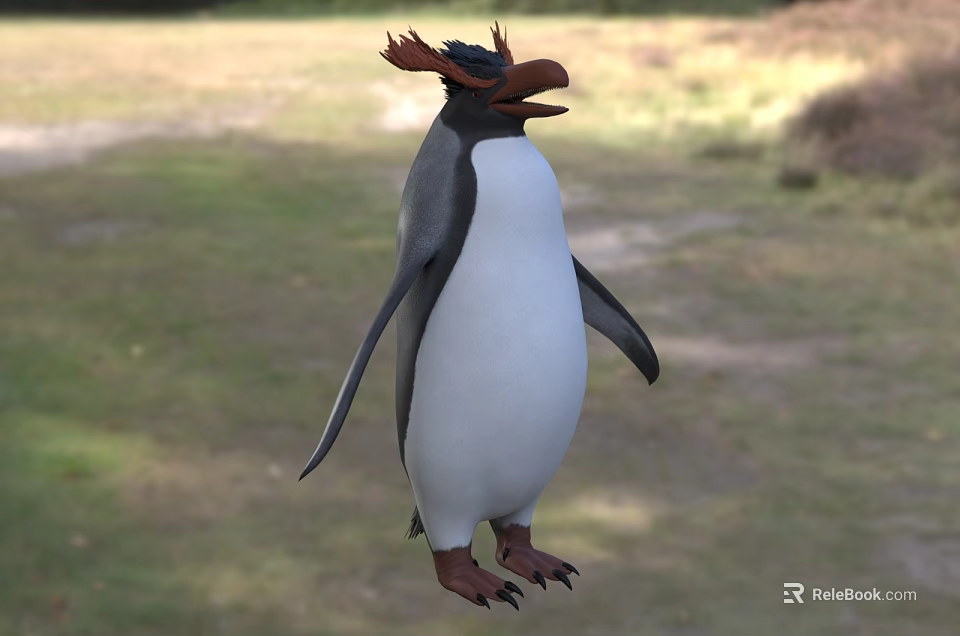 Flying Penguin With Black And White Feathers Red Crest Standing On Grassy Field 3d model 