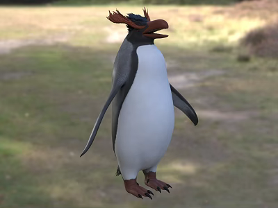Flying Penguin With Black And White Feathers Red Crest Standing On Grassy Field 3d model