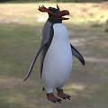 Flying Penguin With Black And White Feathers Red Crest Standing On Grassy Field