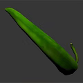 Fresh Green Chili Pepper with Vibrant Color Smooth Texture and Fresh Appearance