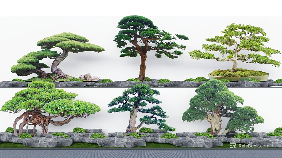 Various Bonsai Arbor Plants With Lush Green Foliage And Moss Covered Stone Bases 3d model 