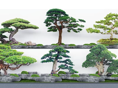 Various Bonsai Arbor Plants With Lush Green Foliage And Moss Covered Stone Bases 3d model
