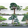 Various Bonsai Arbor Plants With Lush Green Foliage And Moss Covered Stone Bases