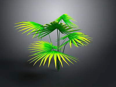Vibrant Lush Palm Plant With Large Green Leaves And Yellow Edges 3d model