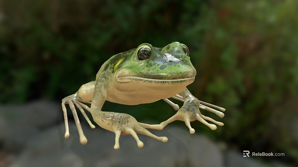 Green Frog Game Movie Character With Detailed Skin Texture And Natural Background 3d model 