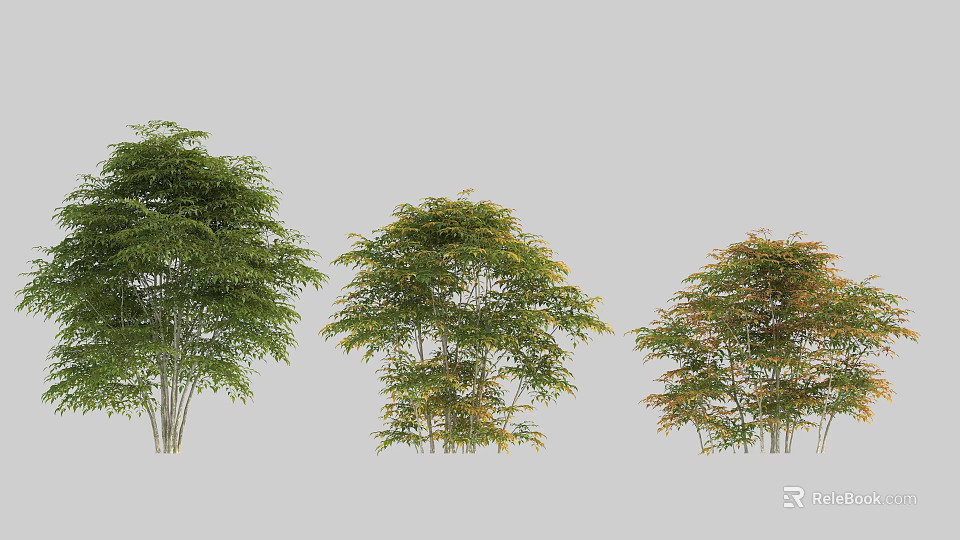 Different Types of Garden Shrubs with Green Yellow and Orange Foliage in Various Sizes 3d model 