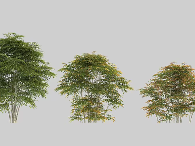 Different Types of Garden Shrubs with Green Yellow and Orange Foliage in Various Sizes 3d model
