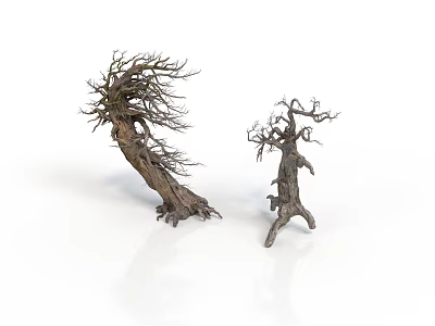 Two Dead Leafless Trees With Rough Trunks One Large Leaning And One Small Upright 3d model