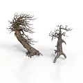 Two Dead Leafless Trees With Rough Trunks One Large Leaning And One Small Upright