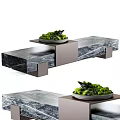 Bonsai Potted Plant Display On Modern Marble Tabletop With Green Foliage