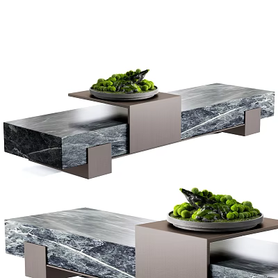 Bonsai Potted Plant Display On Modern Marble Tabletop With Green Foliage 3d model